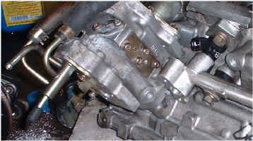 PI.jpg (53103 bytes)