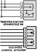 Image Idle Speed Control Actuator and TPS