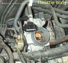 Throtle Body and MAF Connector